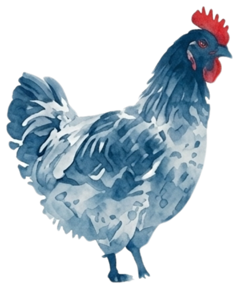 De Carne Farm-Fresh Chicken