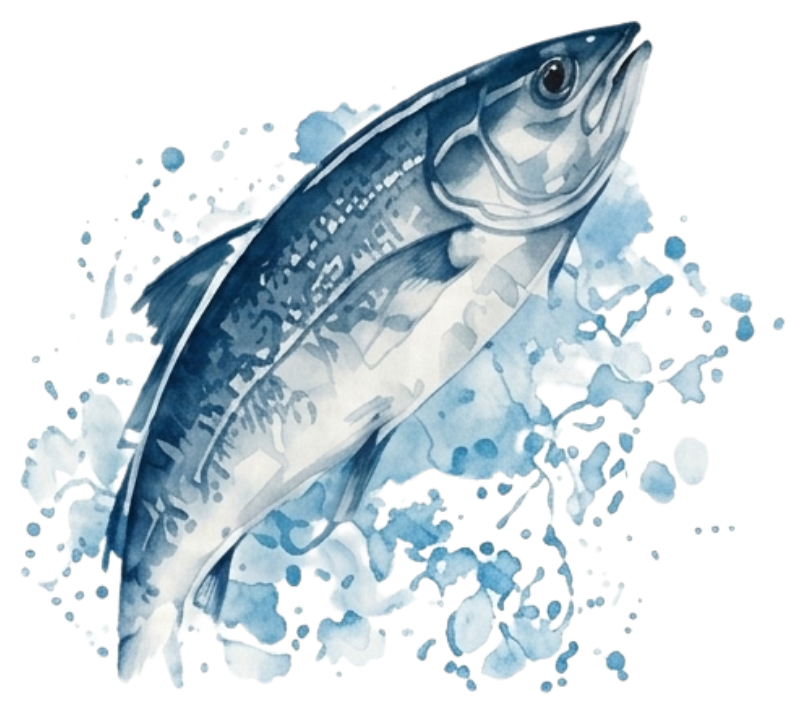 De Carne Fresh Fish & Seafood